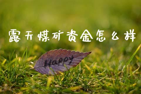 露天煤矿资金怎么样_会计问答_第1张_财经百问网 露天煤矿资金怎么样_https://cj002.lansai.wang_会计问答_第1张