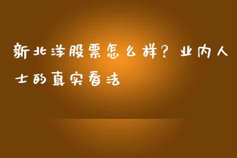 新北洋股票怎么样？业内人士的真实看法_https://cj002.lansai.wang_期货问答_第1张