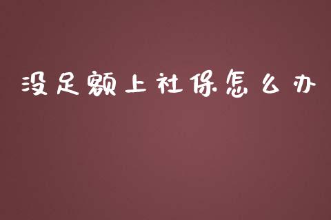 没足额上社保怎么办_https://cj002.lansai.wang_保险问答_第1张