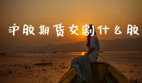 沪胶期货交割什么胶_会计问答_第1张_财经百问网 沪胶期货交割什么胶_https://cj002.lansai.wang_会计问答_第1张