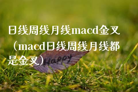 日线周线月线macd金叉（macd日线周线月线都是金叉）_https://cj002.lansai.wang_期货问答_第1张