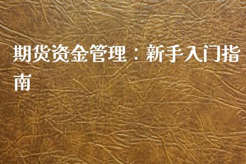 期货资金管理：新手入门指南_https://cj002.lansai.wang_会计问答_第1张