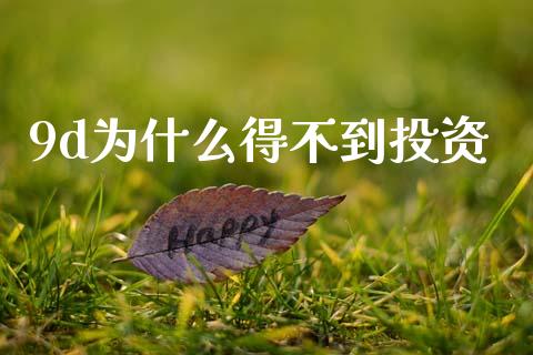 9d为什么得不到投资_https://cj002.lansai.wang_会计问答_第1张