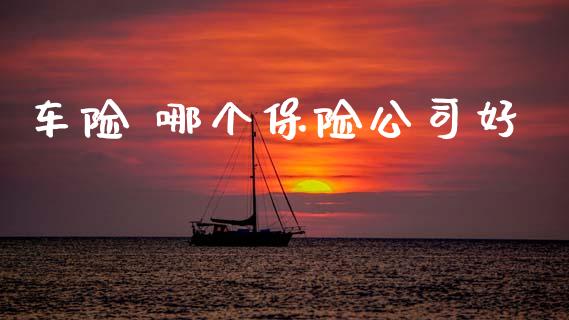 车险 哪个保险公司好_https://cj002.lansai.wang_理财问答_第1张