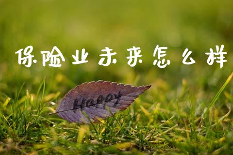 保险业未来怎么样_https://cj002.lansai.wang_期货问答_第1张