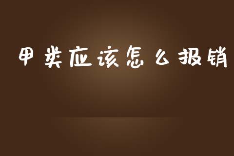甲类应该怎么报销_https://cj002.lansai.wang_保险问答_第1张