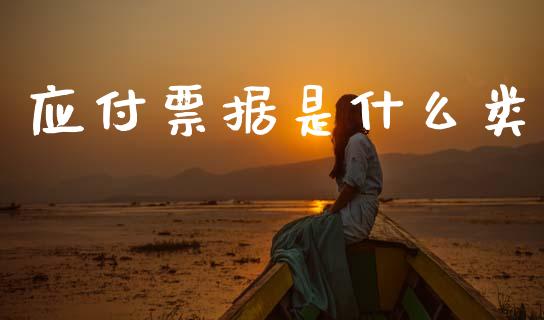 应付票据是什么类_https://cj002.lansai.wang_会计问答_第1张