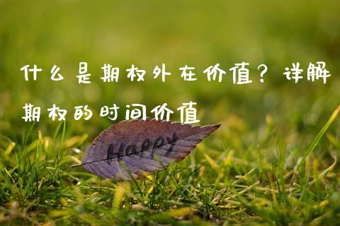 什么是期权外在价值？详解期权的时间价值_https://cj002.lansai.wang_理财问答_第1张
