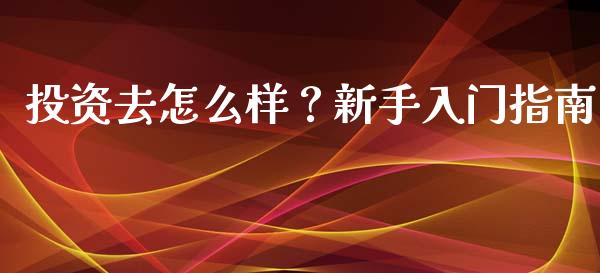 投资去怎么样？新手入门指南_https://cj002.lansai.wang_股市问答_第1张