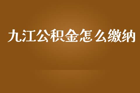 九江公积金怎么缴纳_https://cj002.lansai.wang_保险问答_第1张