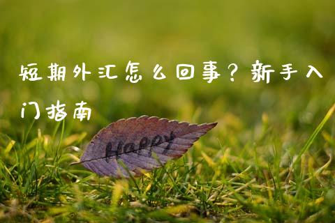 短期外汇怎么回事?新手入门指南_理财问答_第1张_财经百问网 短期外汇怎么回事?新手入门指南_https://cj002.lansai.wang_理财问答_第1张