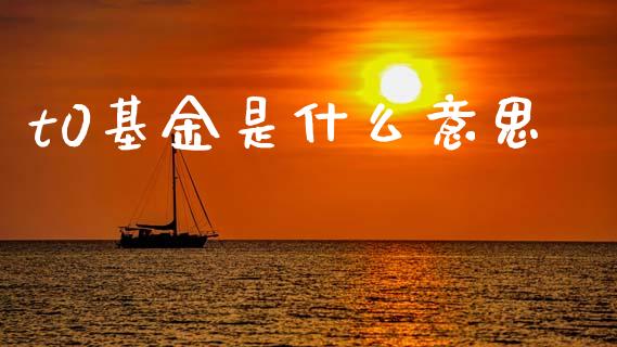 t0基金是什么意思_https://cj002.lansai.wang_财经问答_第1张