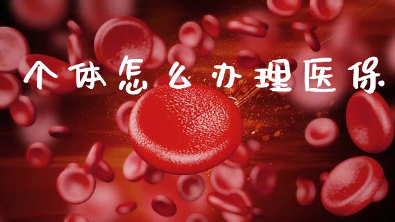 个体怎么办理医保_https://cj002.lansai.wang_保险问答_第1张