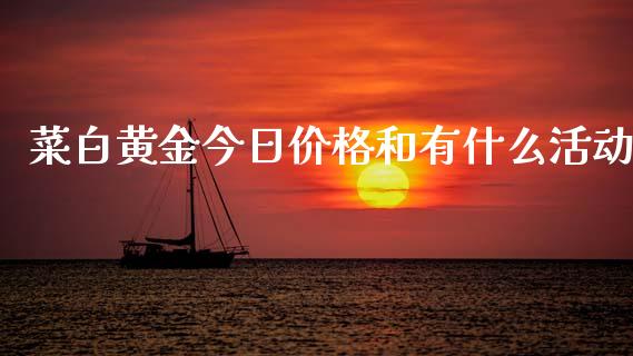 菜白黄金今日价格和有什么活动_https://cj002.lansai.wang_期货问答_第1张