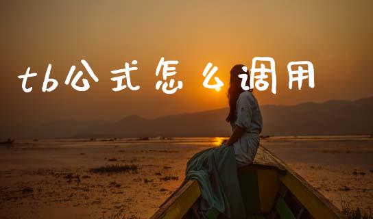 tb公式怎么调用_https://cj002.lansai.wang_期货问答_第1张