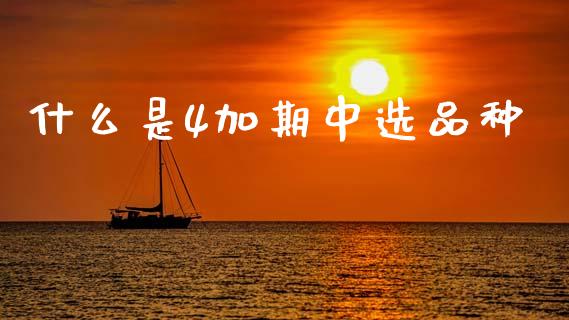 什么是4加期中选品种_会计问答_第1张_财经百问网 什么是4加期中选品种_https://cj002.lansai.wang_会计问答_第1张