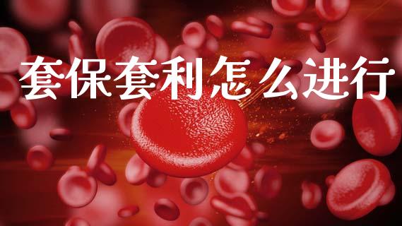 套保套利怎么进行_https://cj002.lansai.wang_期货问答_第1张