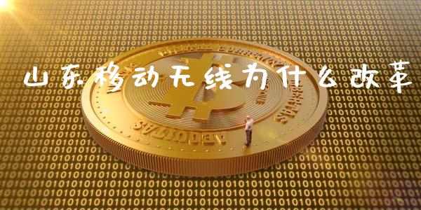山东移动无线为什么改革_https://cj002.lansai.wang_会计问答_第1张
