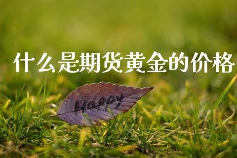 什么是期货黄金的价格_https://cj002.lansai.wang_保险问答_第1张