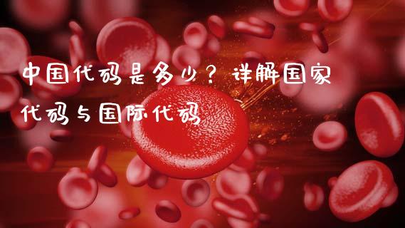 中国代码是多少？详解国家代码与国际代码_https://cj002.lansai.wang_金融问答_第1张