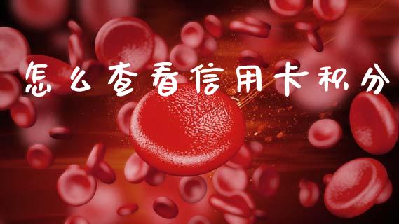 怎么查看信用卡积分_https://cj002.lansai.wang_金融问答_第1张