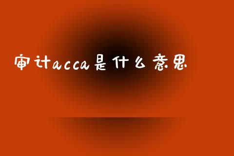 审计acca是什么意思_https://cj002.lansai.wang_会计问答_第1张