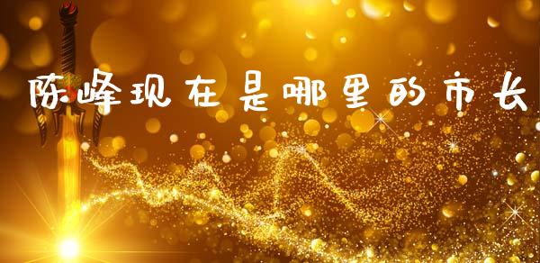 陈峰现在是哪里的市长_https://cj002.lansai.wang_会计问答_第1张