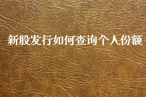 新股发行如何查询个人份额_https://cj002.lansai.wang_会计问答_第1张