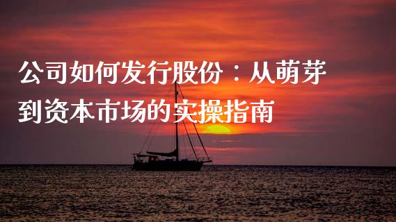 公司如何发行股份：从萌芽到资本市场的实操指南_https://cj002.lansai.wang_会计问答_第1张