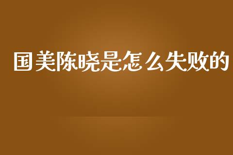 国美陈晓是怎么失败的_https://cj002.lansai.wang_期货问答_第1张