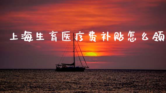 上海生育医疗费补贴怎么领_https://cj002.lansai.wang_保险问答_第1张