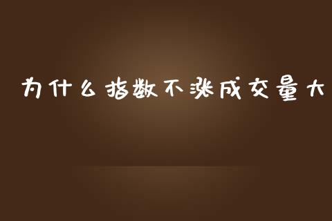 为什么指数不涨成交量大_https://cj002.lansai.wang_财经百问_第1张