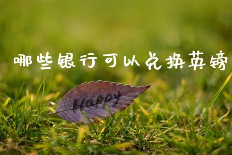 哪些银行可以兑换英镑_https://cj002.lansai.wang_财经问答_第1张