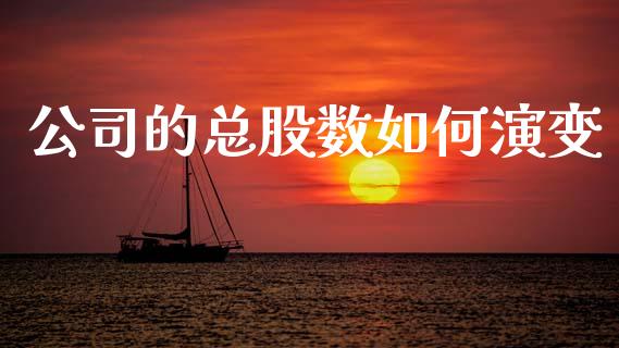 公司的总股数如何演变_https://cj002.lansai.wang_金融问答_第1张