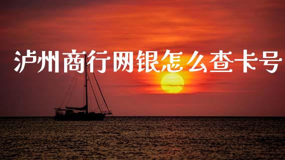 泸州商行网银怎么查卡号_https://cj002.lansai.wang_金融问答_第1张