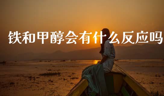 铁和甲醇会有什么反应吗_https://cj002.lansai.wang_股市问答_第1张