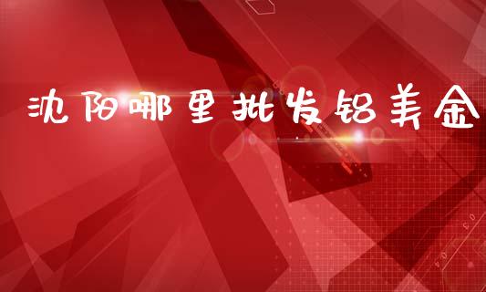 沈阳哪里批发铝美金_https://cj002.lansai.wang_理财问答_第1张