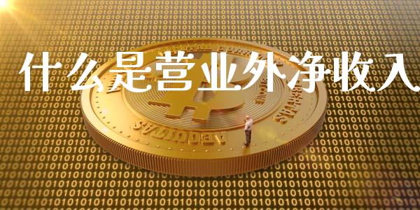 什么是营业外净收入_https://cj002.lansai.wang_会计问答_第1张