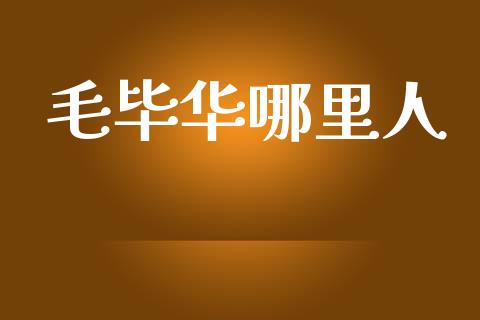 毛毕华哪里人_https://cj002.lansai.wang_理财问答_第1张
