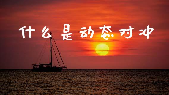 什么是动态对冲_https://cj002.lansai.wang_理财问答_第1张