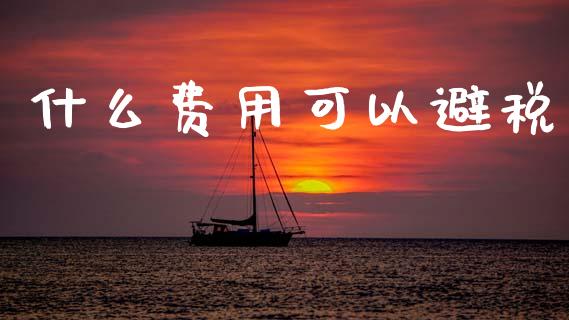 什么费用可以避税_https://cj002.lansai.wang_会计问答_第1张