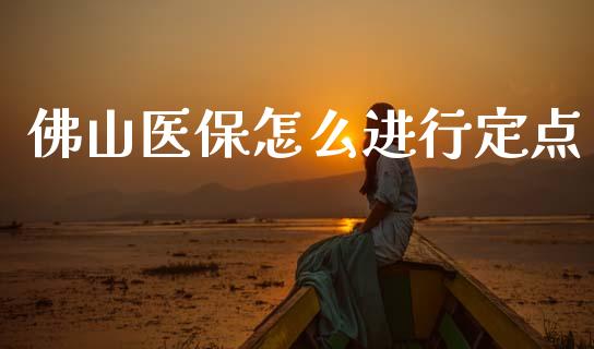 佛山医保怎么进行定点_https://cj002.lansai.wang_保险问答_第1张