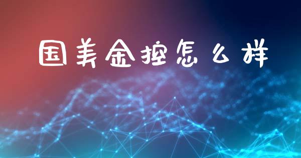 国美金控怎么样_https://cj002.lansai.wang_财经百问_第1张