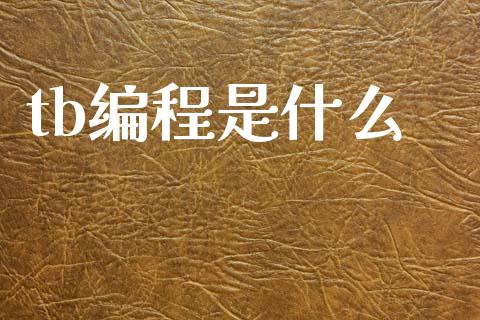 tb编程是什么_https://cj002.lansai.wang_财经百问_第1张