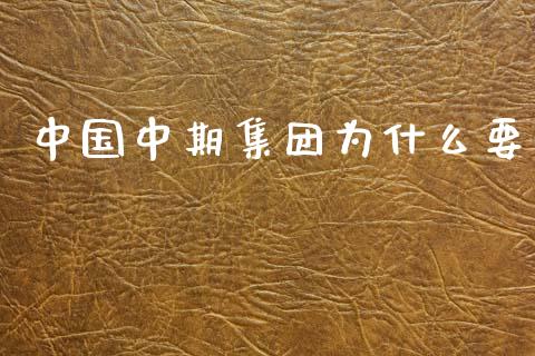 中国中期集团为什么要_https://cj002.lansai.wang_期货问答_第1张