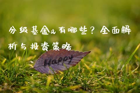 分级基金a有哪些？全面解析与投资策略_https://cj002.lansai.wang_金融问答_第1张