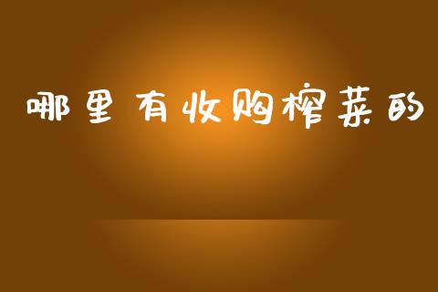 哪里有收购榨菜的_https://cj002.lansai.wang_股市问答_第1张