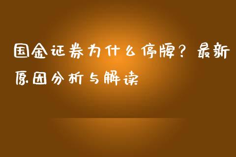 国金证券为什么停牌？最新原因分析与解读_https://cj002.lansai.wang_会计问答_第1张