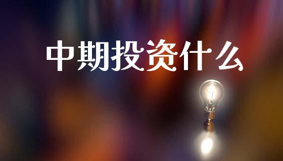 中期投资什么_https://cj002.lansai.wang_会计问答_第1张