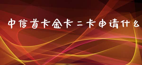 中信首卡金卡二卡申请什么_https://cj002.lansai.wang_金融问答_第1张
